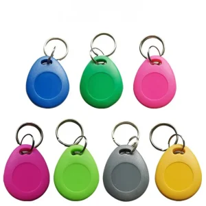 Image of seven Key Fob 125kHz (1) units in various colors: k'angi, xí, rosado, morado, light green, nxo̲ge ar ', and yellow; arranged in two rows. Each fob is teardrop-shaped with a metal keyring.
